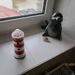 菲林翁萨宾公寓 *